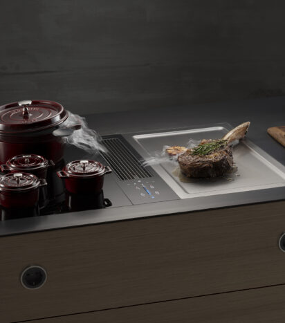 Modular Hob with Extractor: Gas and Induction Cooktop